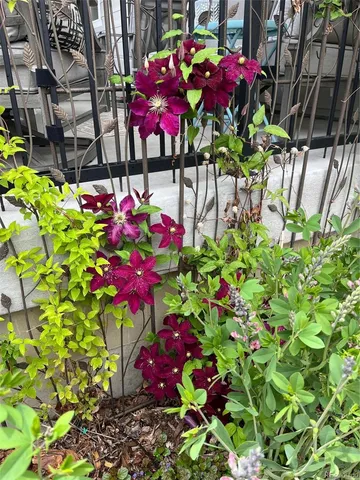 $779,000 | 732 Boulder Peak Avenue, Erie, CO 80516