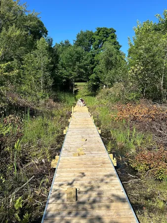 $39,000 | 6081 Terry Drive, Six Lakes, MI 48886