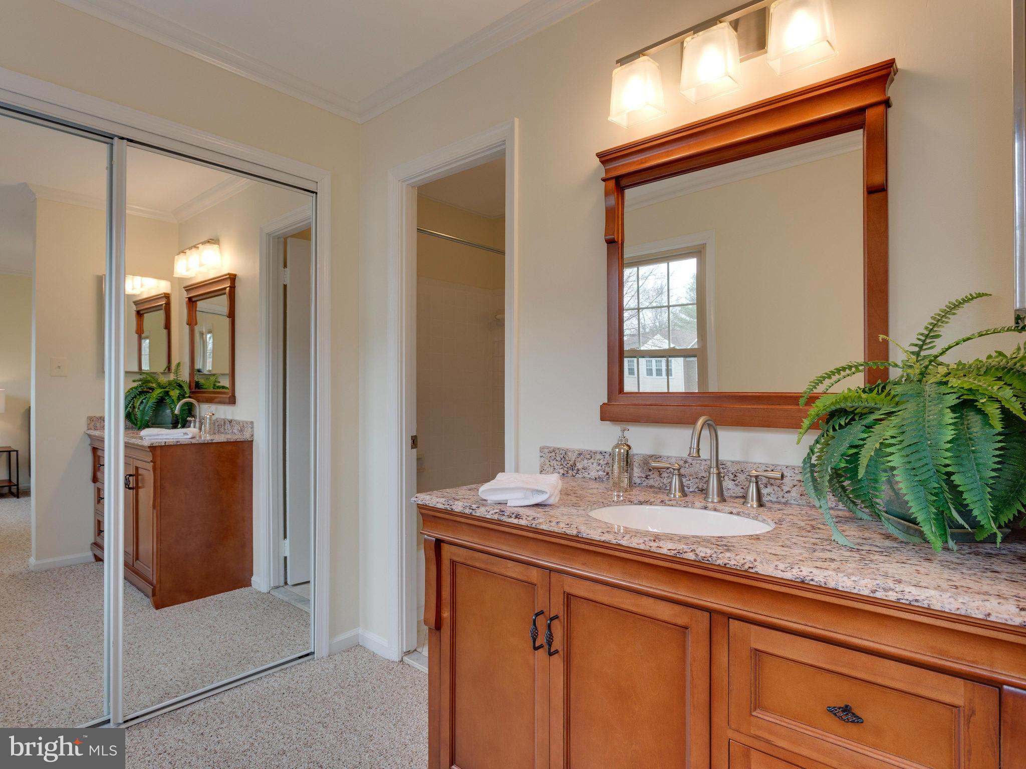 7960 Forest Path Way Springfield, VA 22153 - Photo 14 of 19 DRESSING AREA