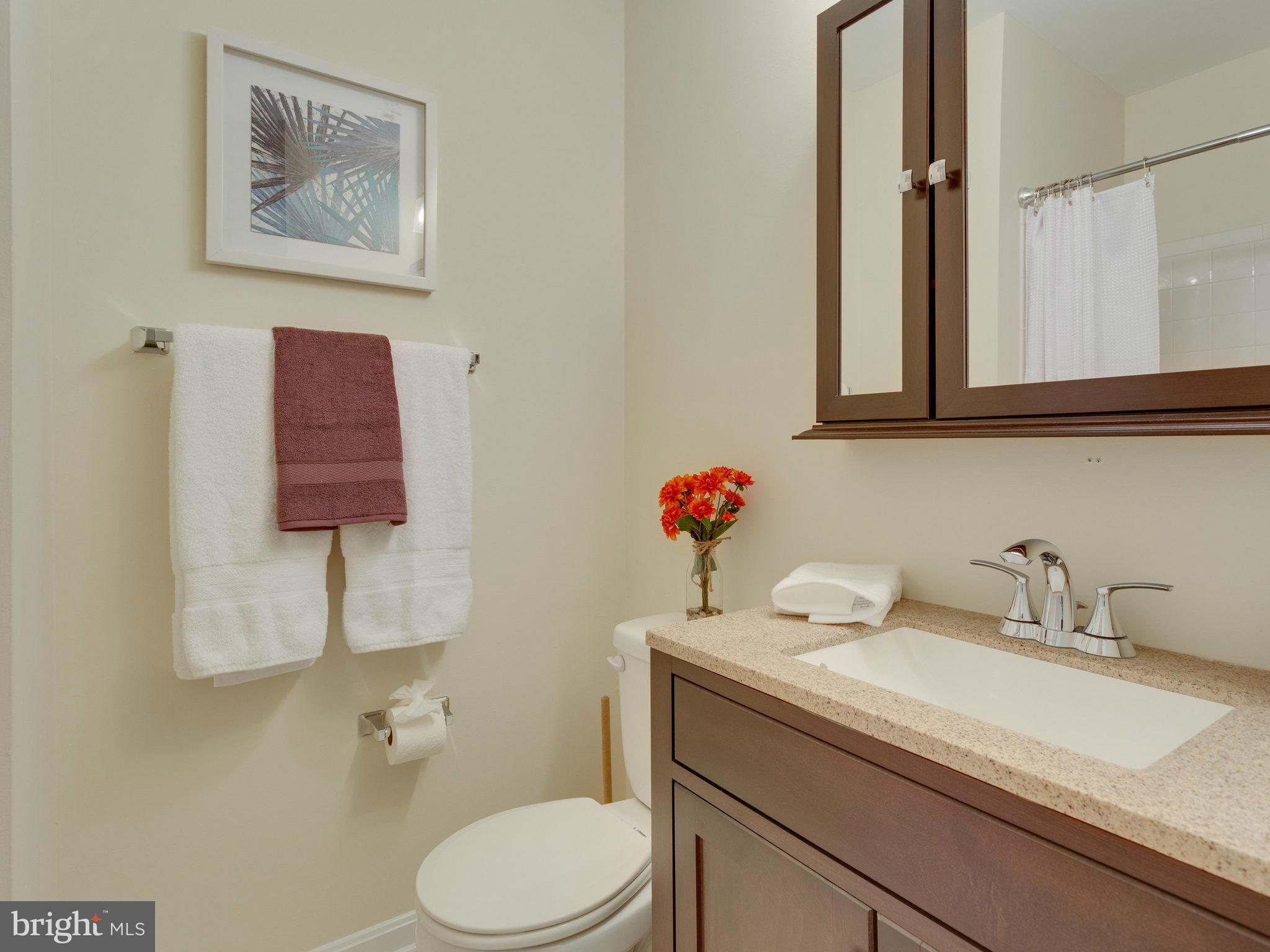 7960 Forest Path Way Springfield, VA 22153 - Photo 15 of 19 GUEST BATH