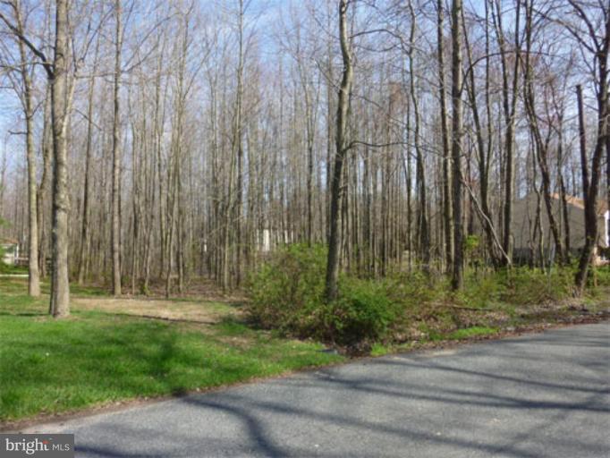 Maple Road Essex, MD 21221 - Photo 1 of 1 a view of outdoor space with garden