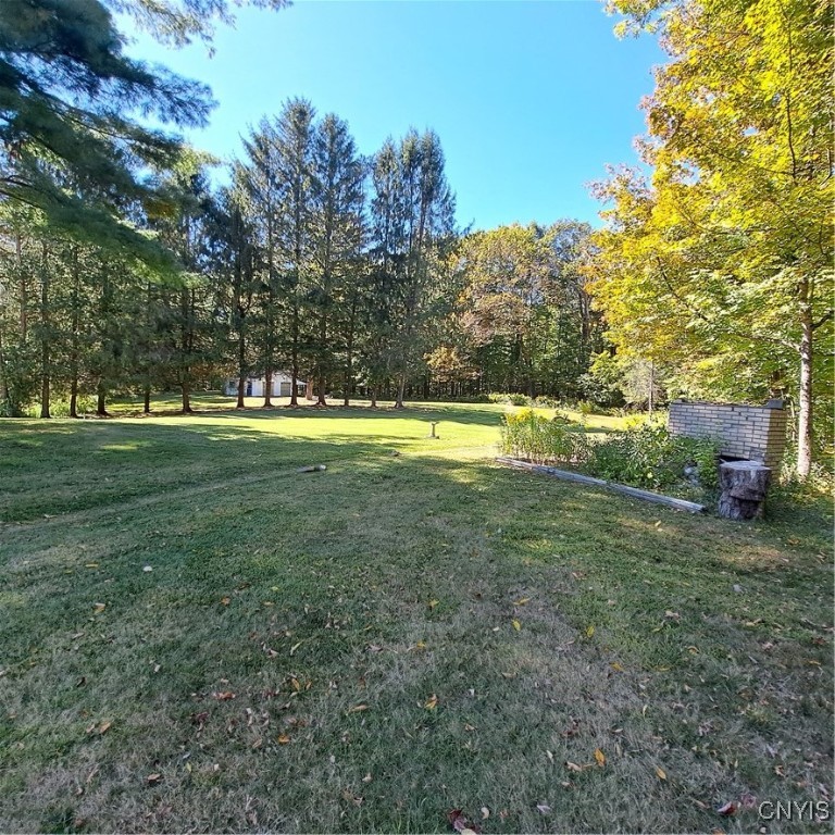 9969 Penny Mix Road Camden, NY 13316 - Photo 47 of 49