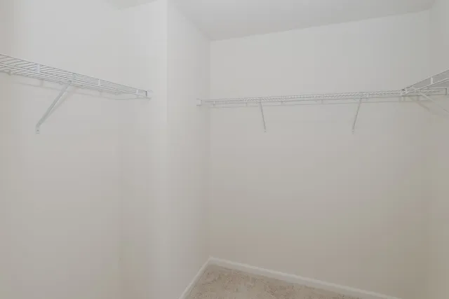 a close up view of racks on the wall