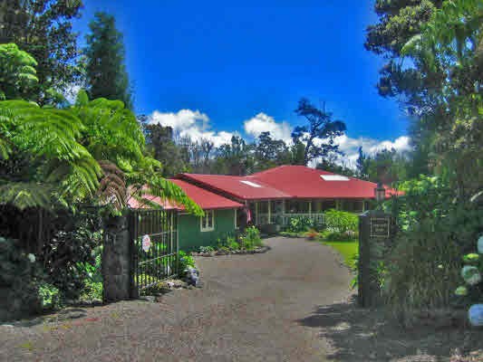 19-4234 Wright Road Volcano, HI 96785 - Photo 6 of 24 Gallery Image 6