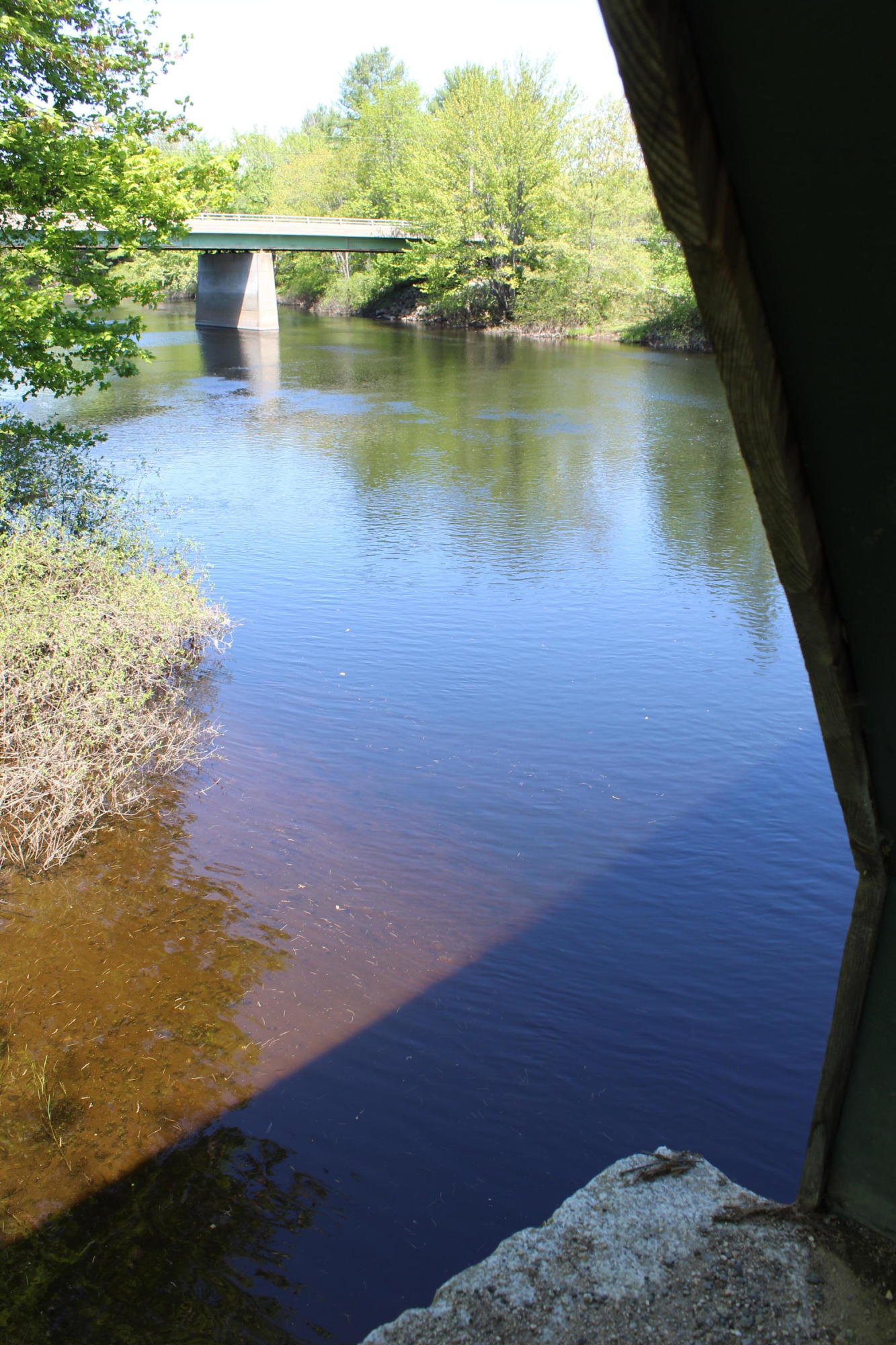 Lot 1 North Road Parsonsfield, ME 04047 - Photo 14 of 19 IMG_0784