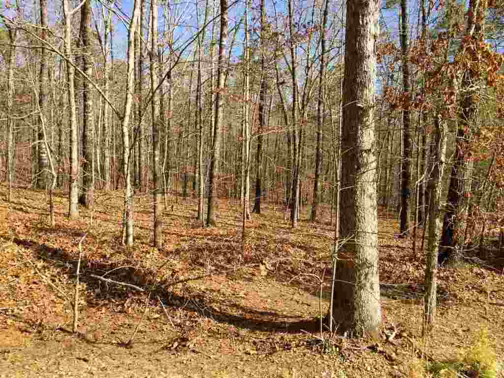 171 State Rd S-37-143 Westminster, SC 29693 - Photo 12 of 15 Gallery Image 12