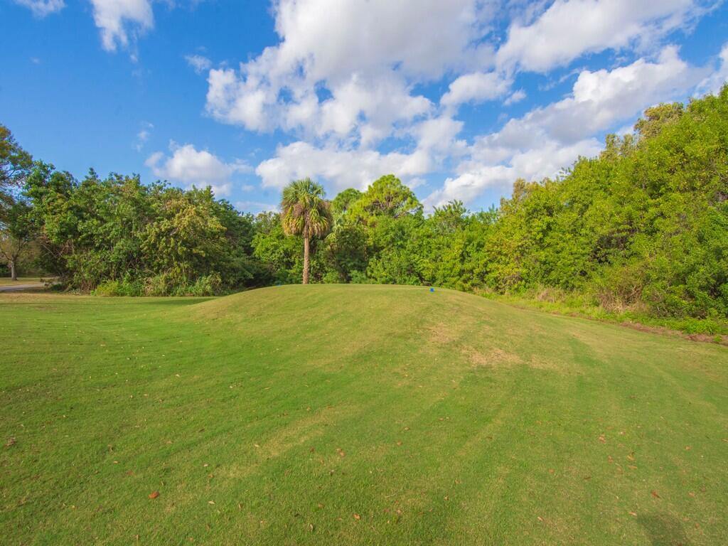 4001 Gator Trace Road Fort Pierce, FL 34982 - Photo 33 of 45 Back tee of #5