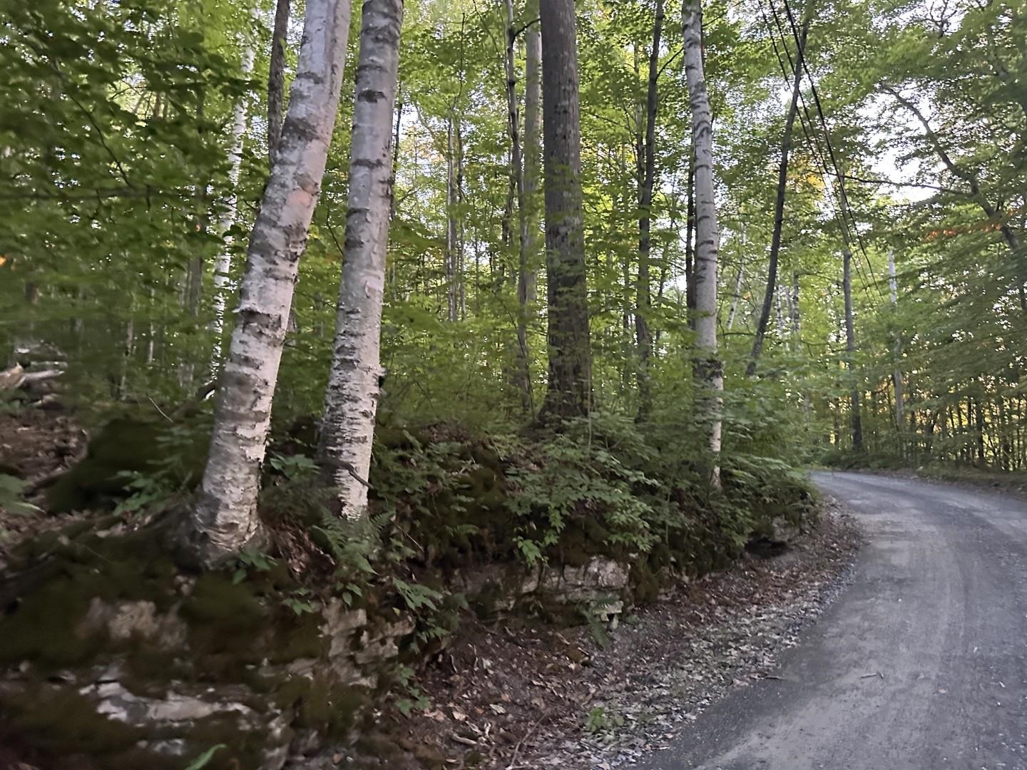 515 Quarry Road Bennington, VT 05201 - Photo 51 of 60