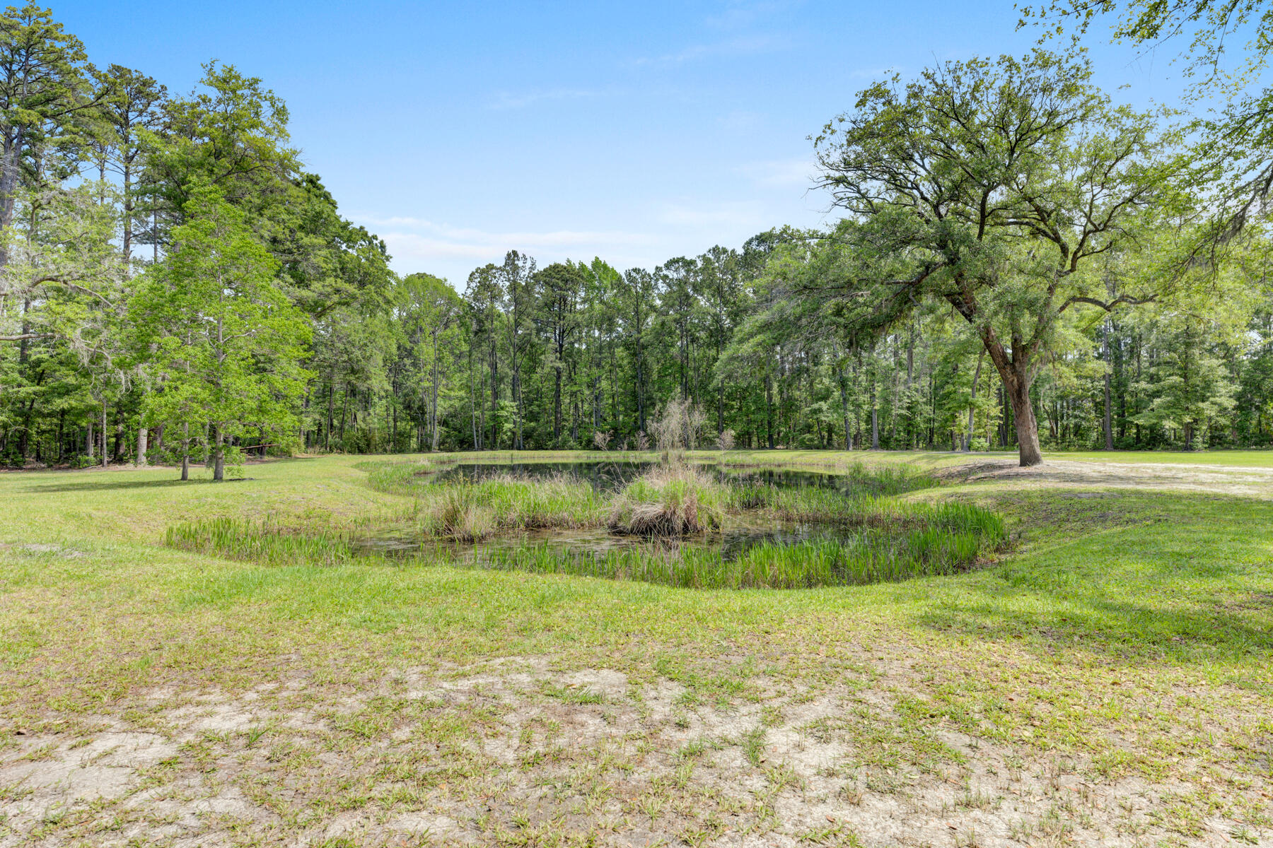 8035 Little Britton Road Hollywood, SC 29449 - Photo 36 of 61 8035 Little Britton Rd, Hollywood SC (34