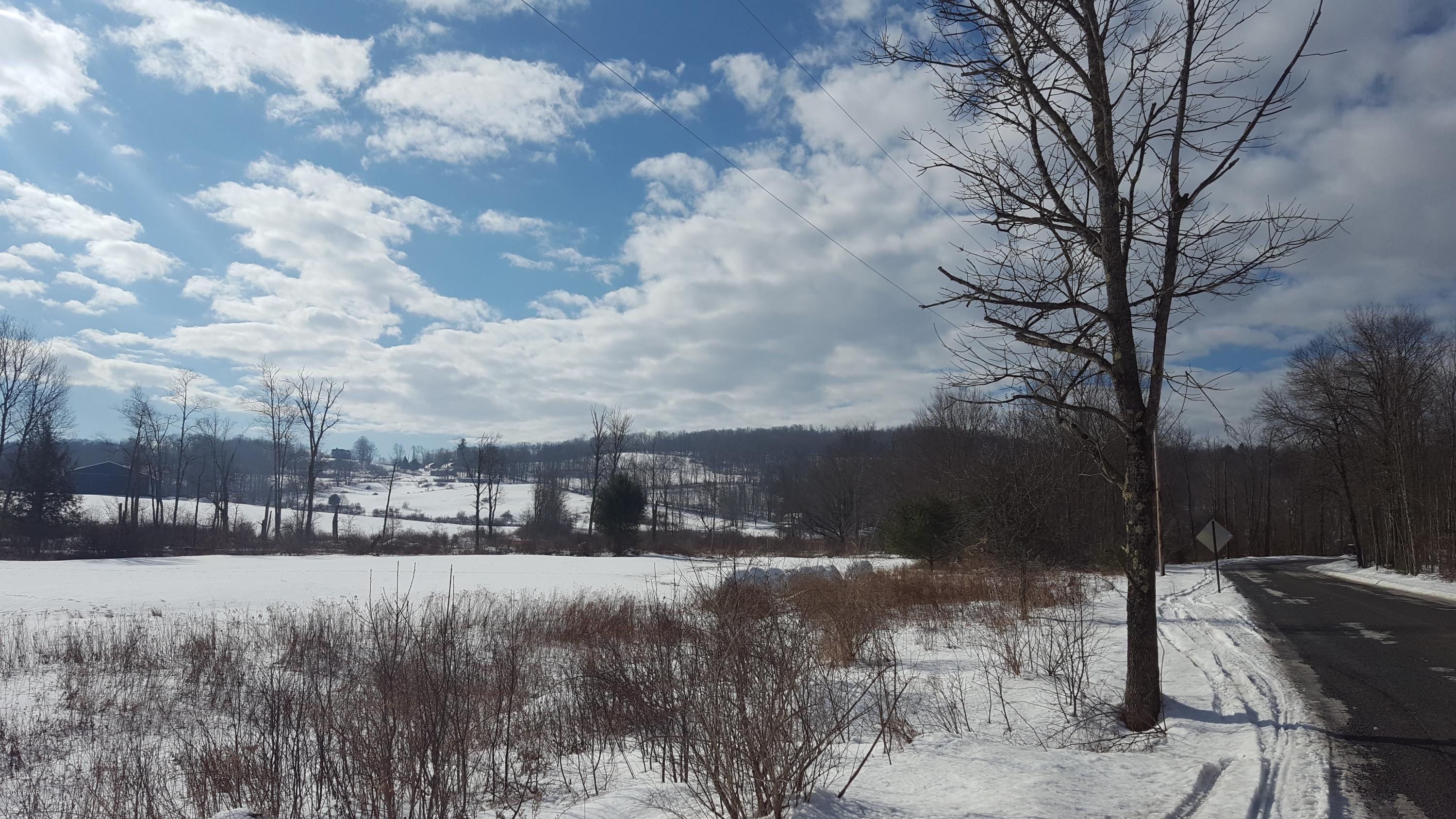 47 Creek Road Equinunk, PA 18417 - Photo 16 of 24 Large field across from home