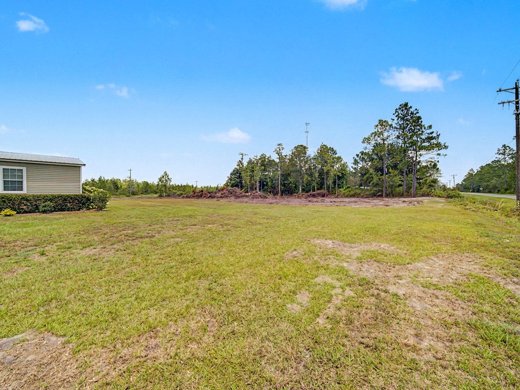 436 Douglas Road Du Pont, GA 31630 - Photo 22 of 24 Gallery Image 22