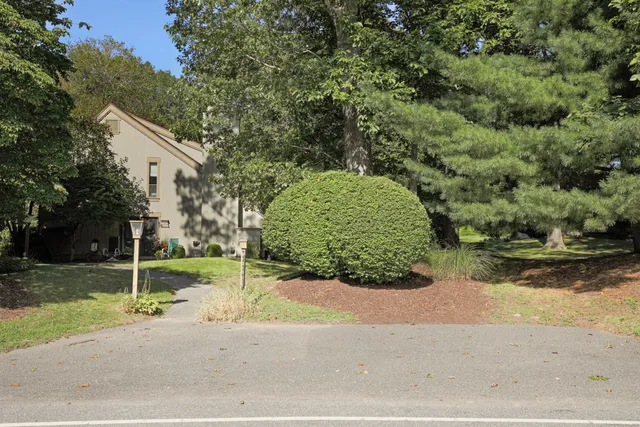 a view of a house with a yard and potted plants