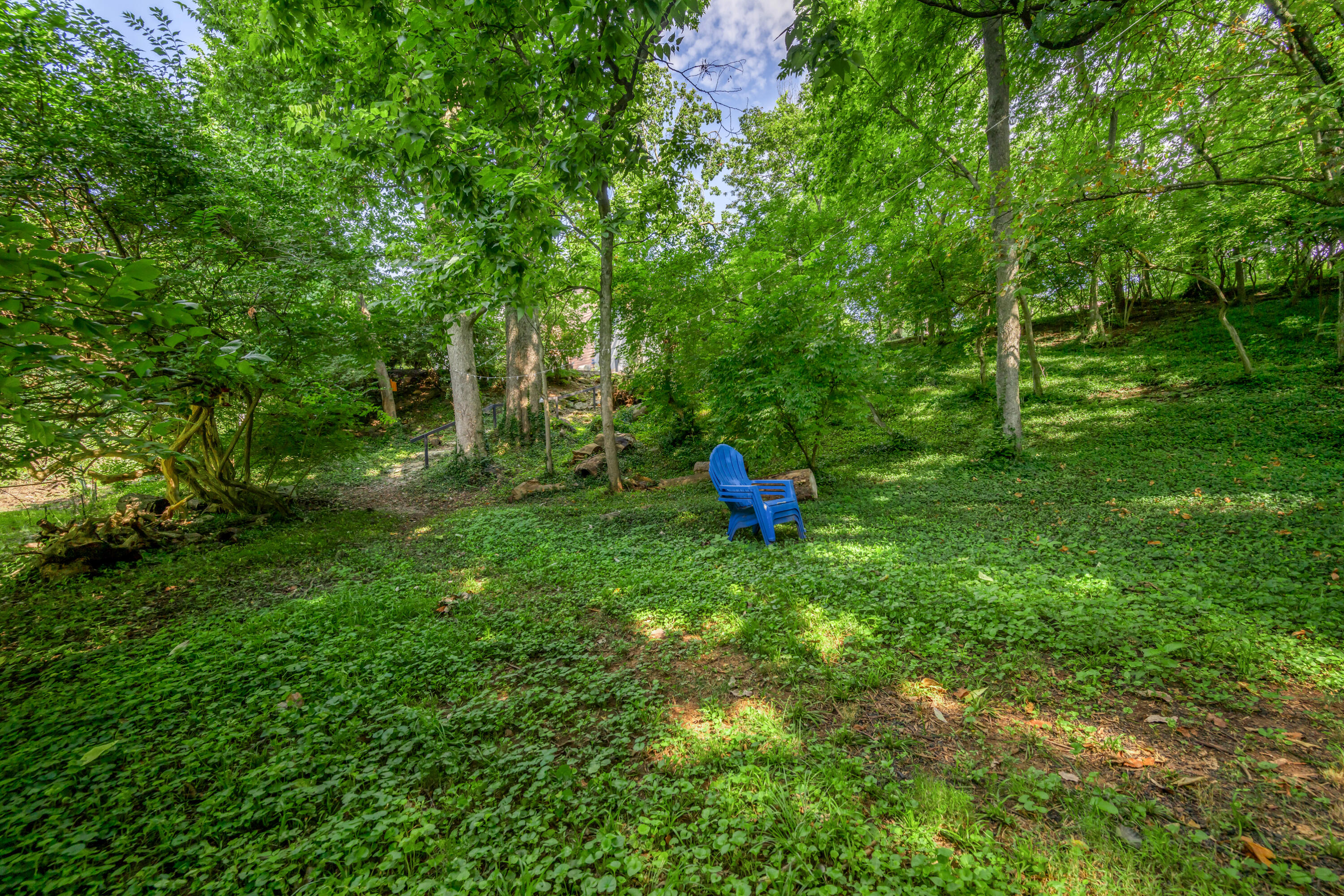 916 Bravington Way Lexington, KY 40503 - Photo 108 of 132 TDB_5845