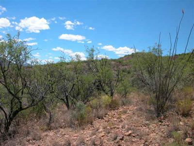 200 Canyon Pass Court Rio Rico, AZ 85648 - Photo 5 of 7