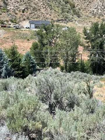 a view of a dry space with lots of bushes