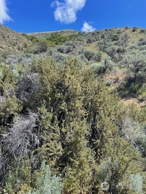 159 Southridge Court Wenatchee, WA 98801 - Photo 13 of 20