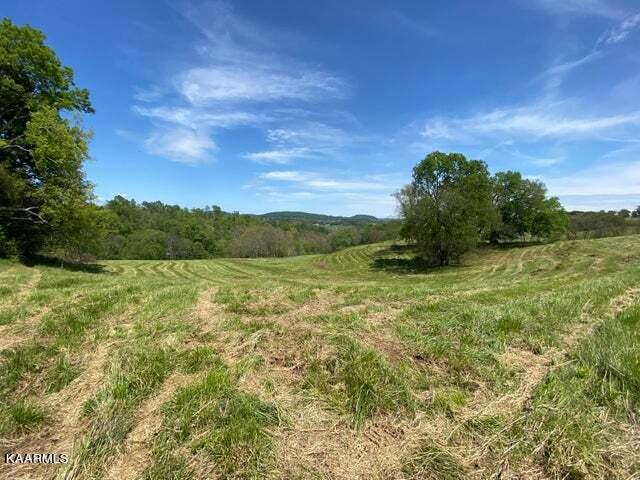 Clark Road Rutledge, TN 37861 - Photo 3 of 9 3
