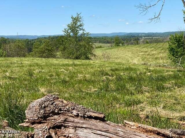 Clark Road Rutledge, TN 37861 - Photo 6 of 9 6