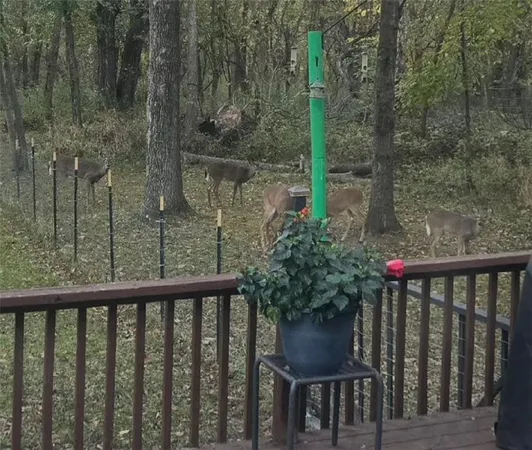 $464,900 | 1685 Northwest 785th Road, Bates City, MO 64011