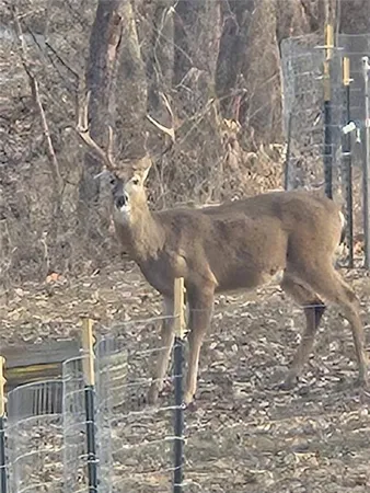 $464,900 | 1685 Northwest 785th Road, Bates City, MO 64011