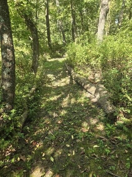 1685 Northwest 785th Road Bates City, MO 64011 - Photo 48 of 62