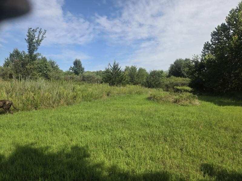 1685 Northwest 785th Road Bates City, MO 64011 - Photo 49 of 62