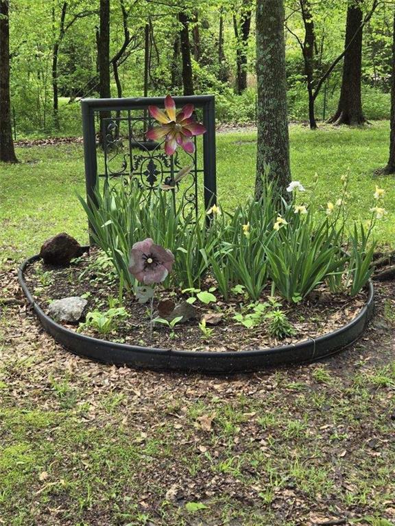 1685 Northwest 785th Road Bates City, MO 64011 - Photo 6 of 62