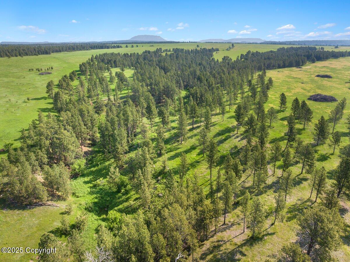 567 Dry Creek Road Upton, WY 82730 - Photo 20 of 30 570 Dry Creek Road-10 (1)
