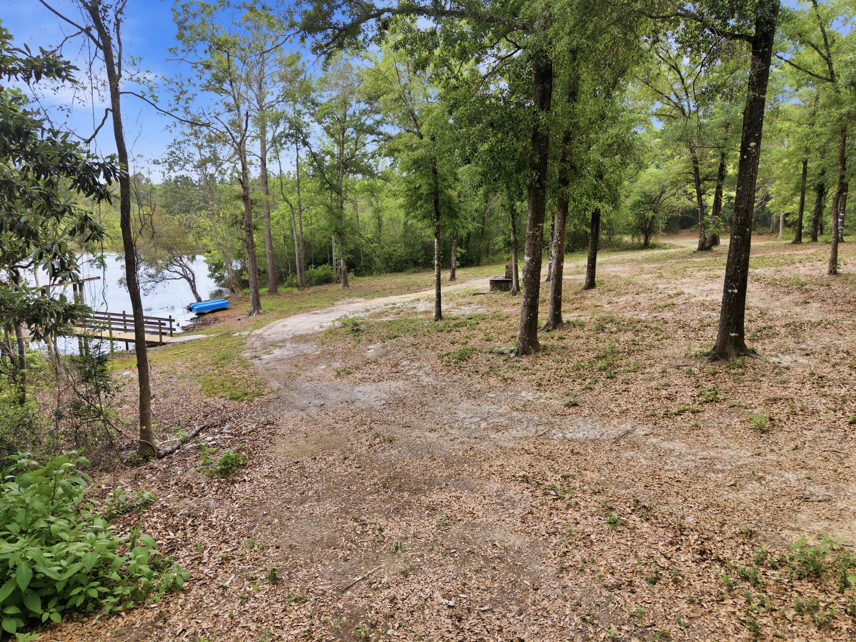 261 Wilkerson Road DeFuniak Springs, FL 32433 - Photo 31 of 76 a view of a forest with trees