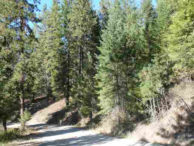 0 Timberlane Creek Road Mead, WA 99021 - Photo 1 of 6