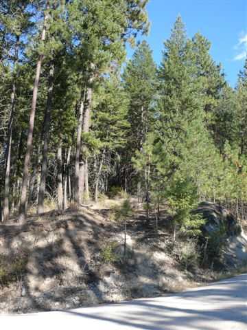 0 Timberlane Creek Road Mead, WA 99021 - Photo 4 of 6
