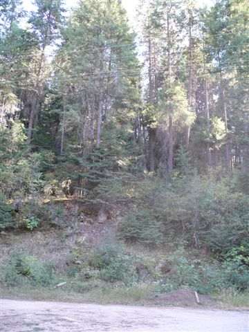 0 Timberlane Creek Road Mead, WA 99021 - Photo 6 of 6