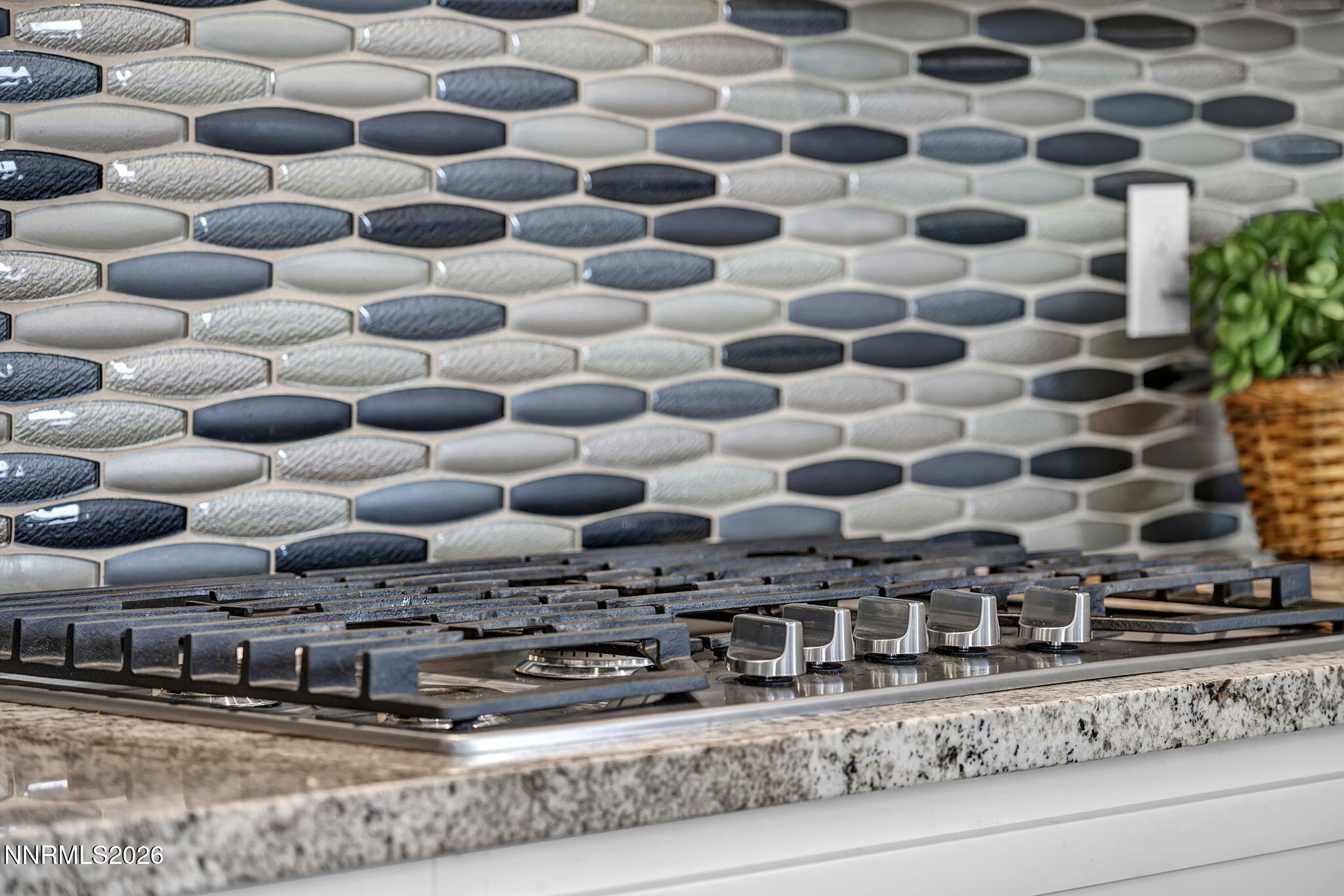 283 Azimuth Way Verdi, NV 89439 - Photo 20 of 50 stove