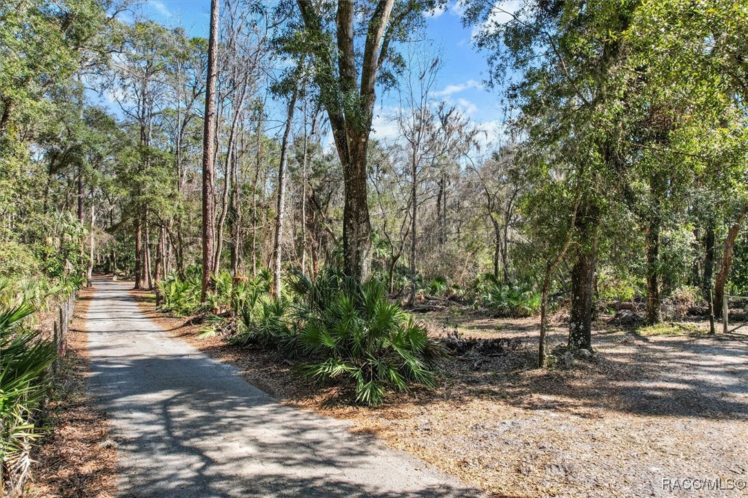 0 Our Road Inglis, FL 34449 - Photo 3 of 14