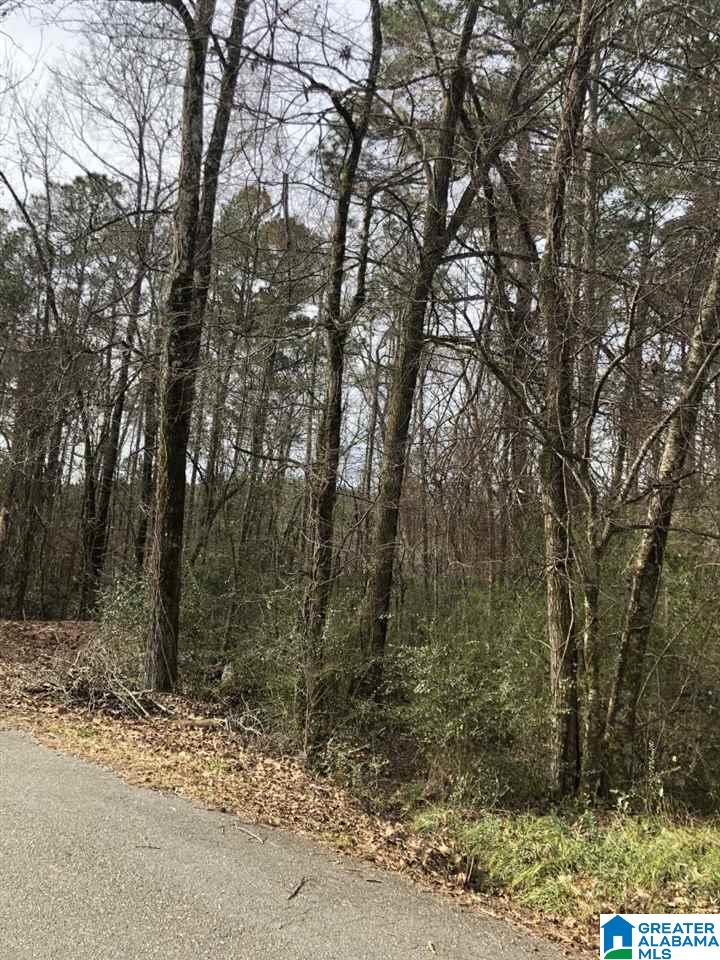 74 Dunstans Mall Calera, AL 35040 - Photo 2 of 4