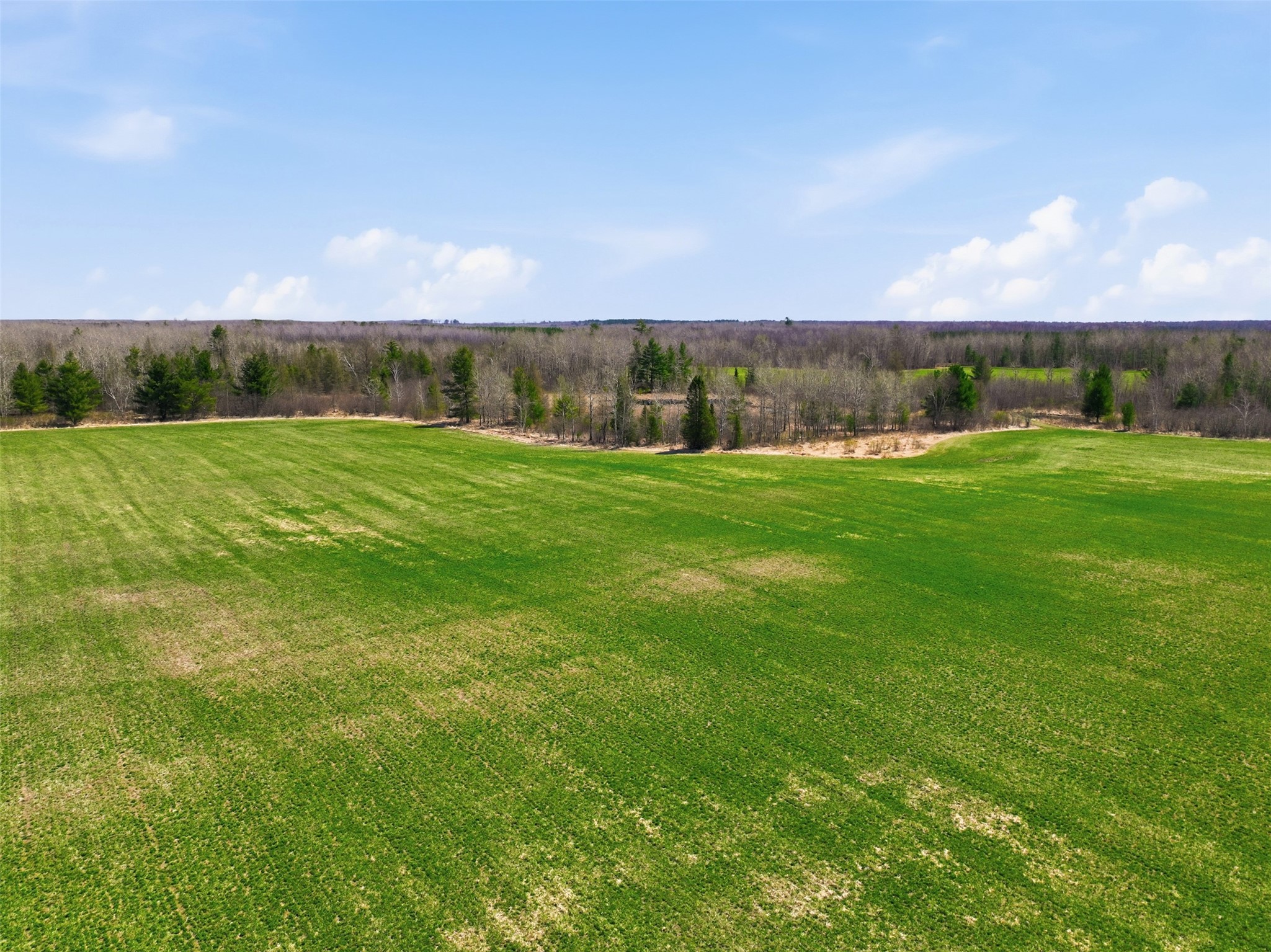 N4280 County Road East Bruce, WI 54819 - Photo 3 of 49