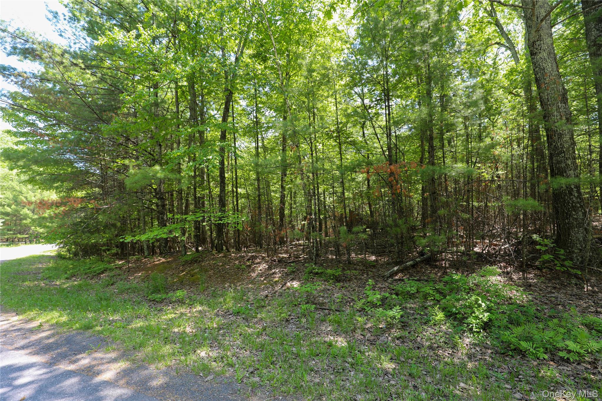 Tbd Bristol Hill Road Hurley, NY 12443 - Photo 11 of 17 a view of outdoor space and green space