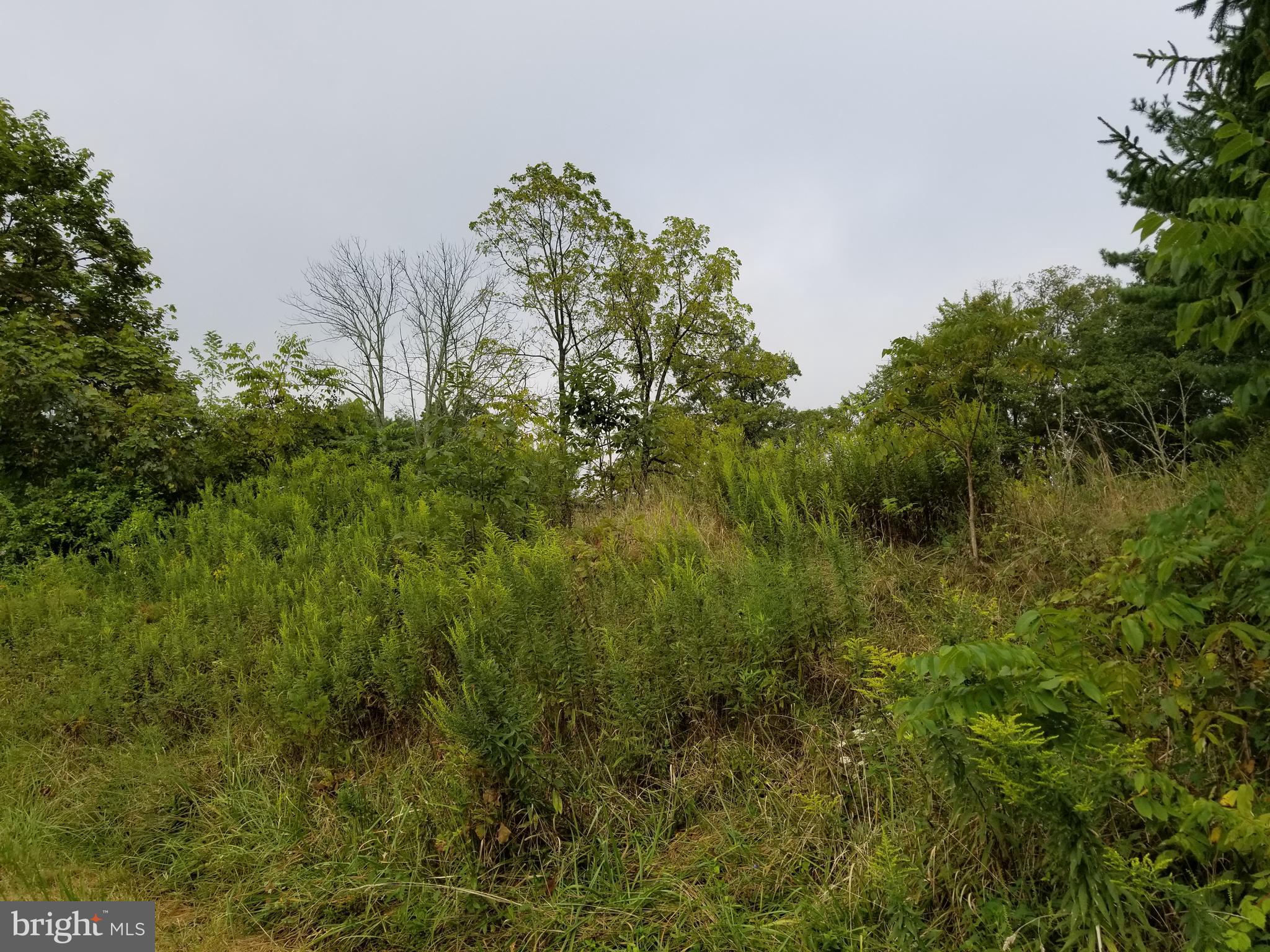 145 Church Road Lewisberry, PA 17339 - Photo 2 of 5