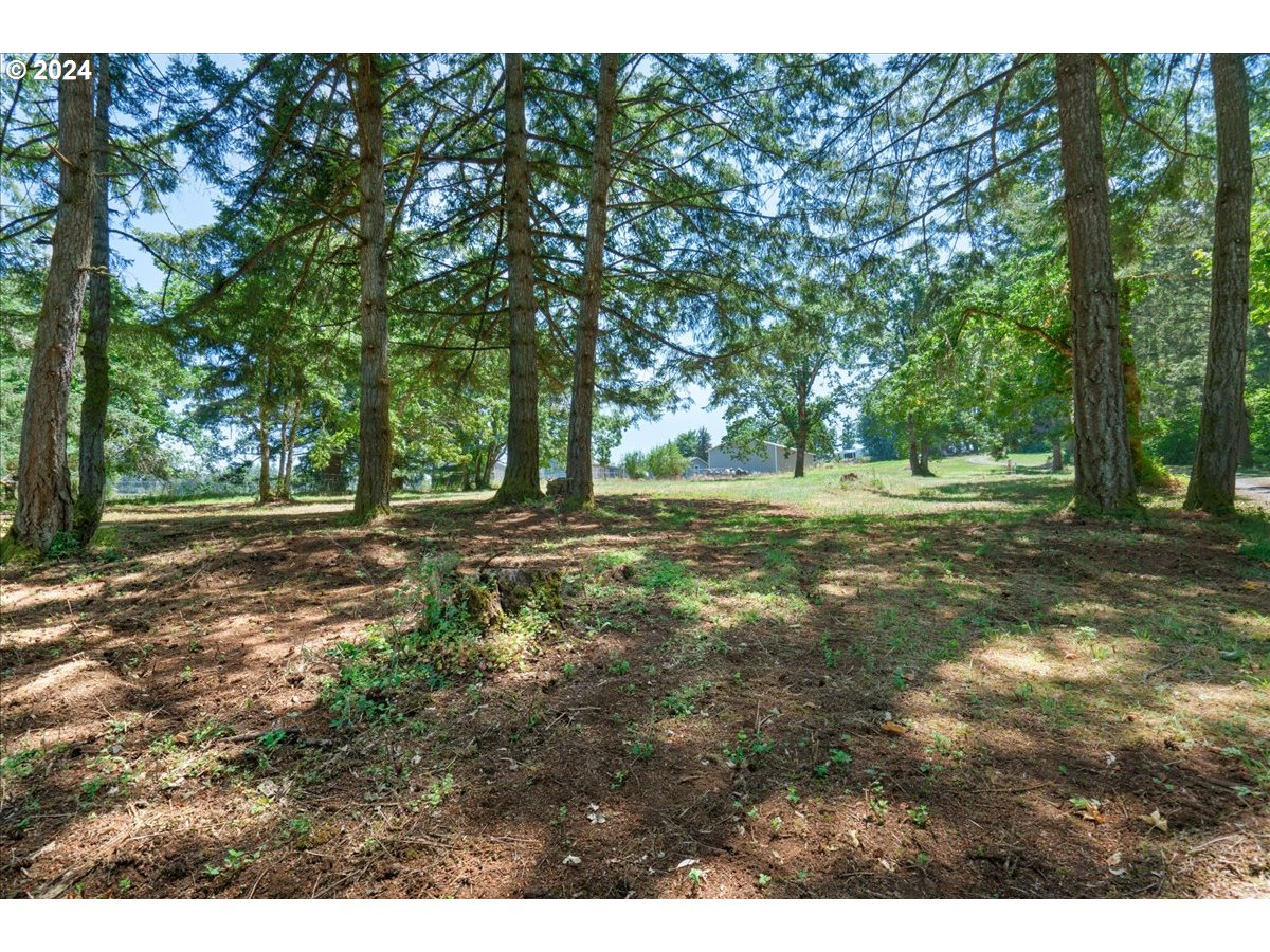 15540 Quall Road Northeast Silverton, OR 97381 - Photo 14 of 20