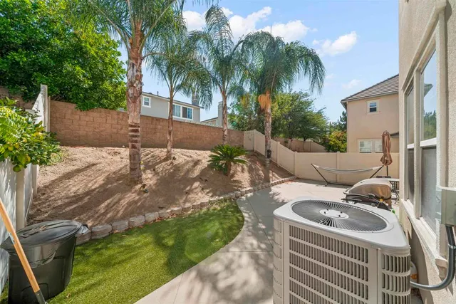 a view of a backyard with plants and palm tree