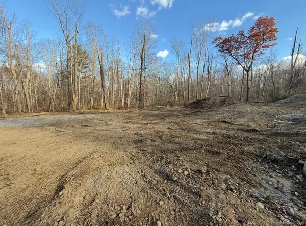 a view of dirt yard with a large tree