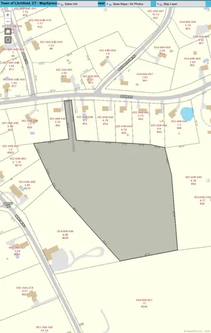 a view of a park with large trees