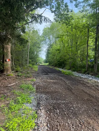a view of a yard with plants and trees
