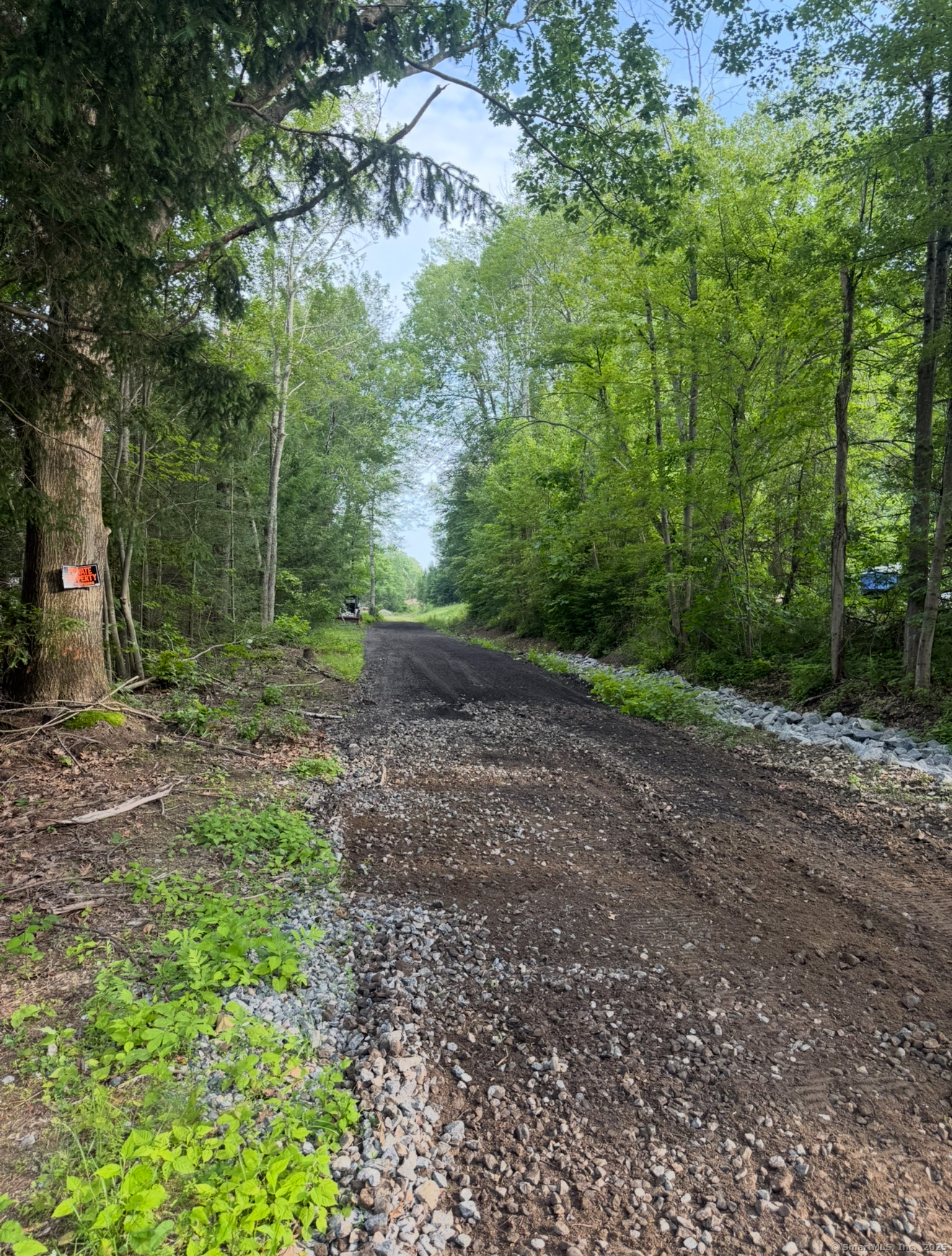 Reder Road Litchfield, CT 06759 - Photo 3 of 6 a view of a park with large trees