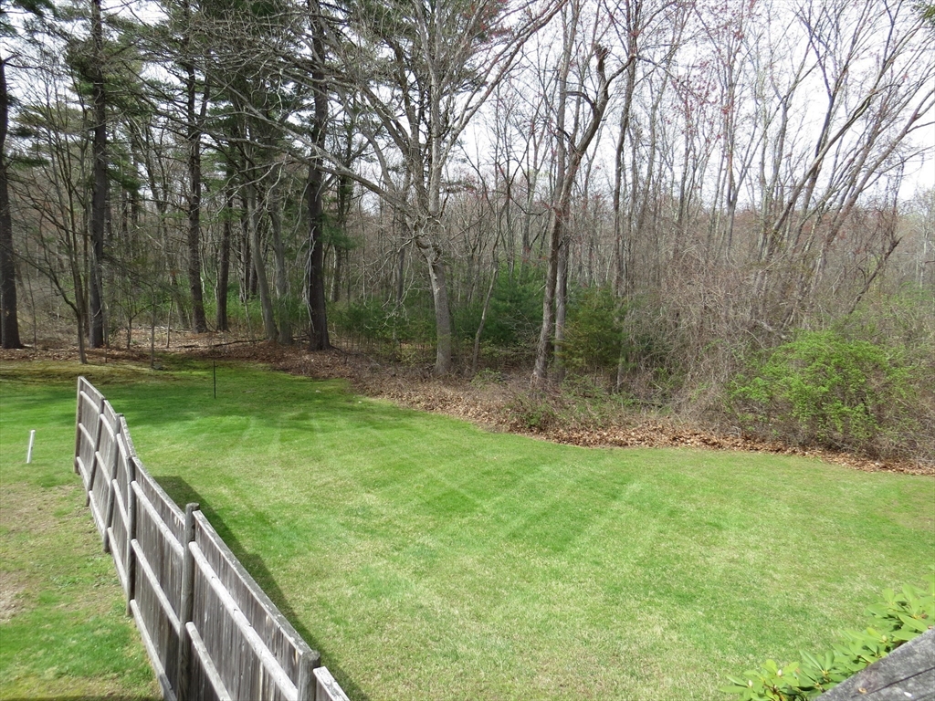 63 Westview Street Lexington, MA 02421 - Photo 14 of 20 Gallery Image 14