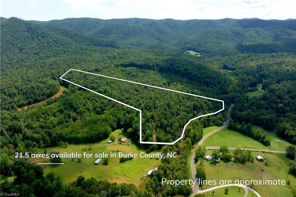 1960 Rich Mountain Road Morganton, NC 28655 - Photo 13 of 41