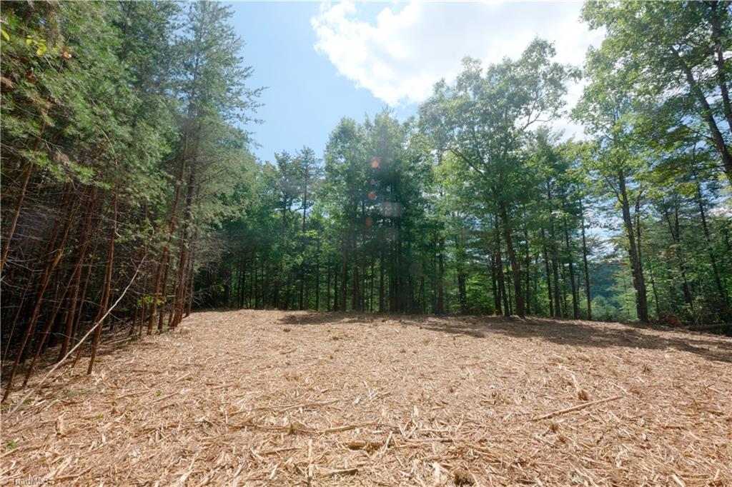 1960 Rich Mountain Road Morganton, NC 28655 - Photo 24 of 41