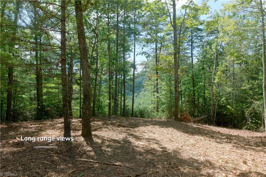 1960 Rich Mountain Road Morganton, NC 28655 - Photo 25 of 41