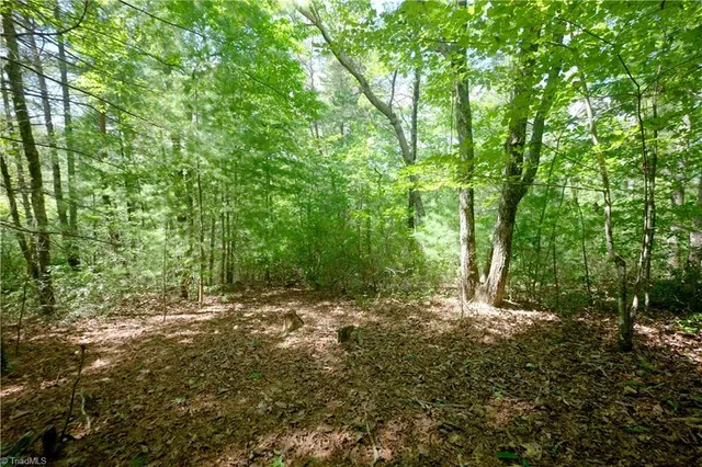$247,000 | 1960 Rich Mountain Road, Morganton, NC 28655