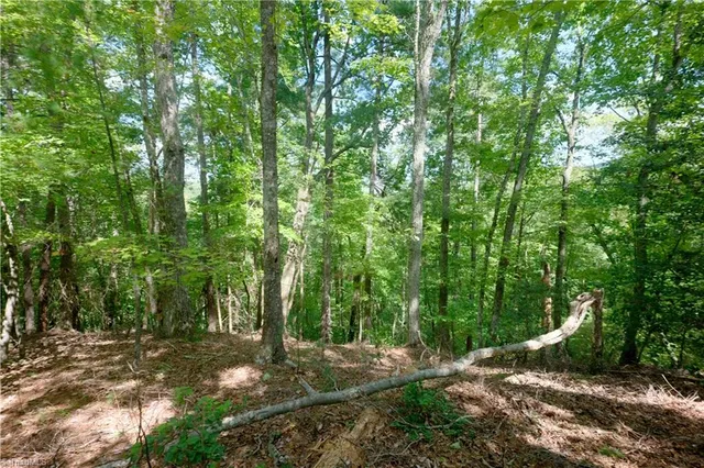 $247,000 | 1960 Rich Mountain Road, Morganton, NC 28655